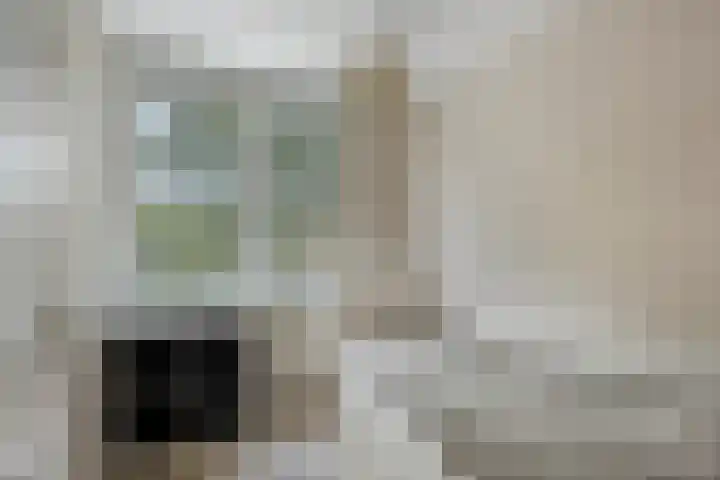 Hollandhof 55 Helmond thumbnail 23