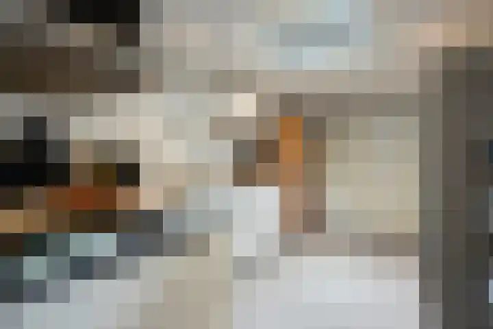 Hollandhof 55 Helmond thumbnail 31