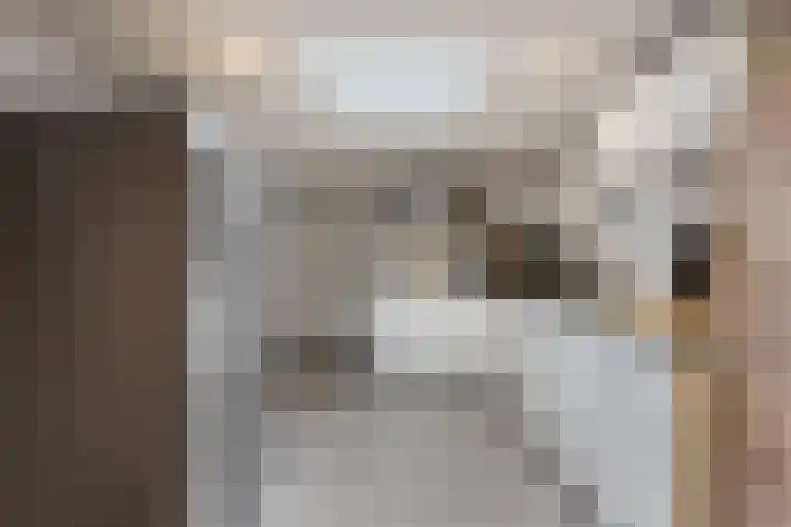 Hollandhof 55 Helmond thumbnail 32