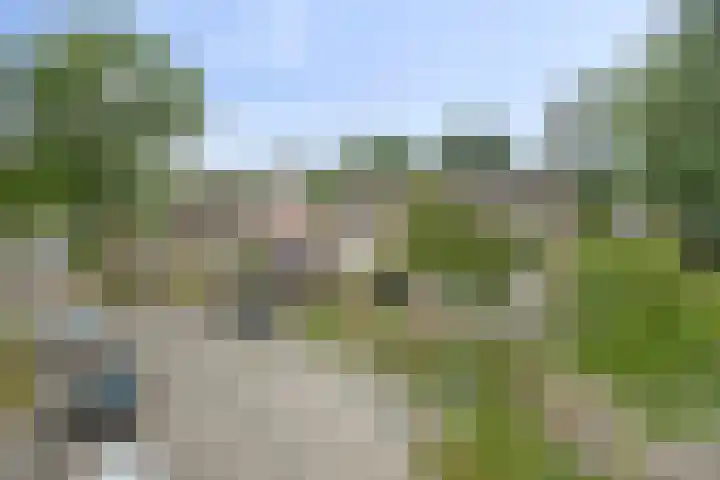 Hollandhof 55 Helmond thumbnail 37