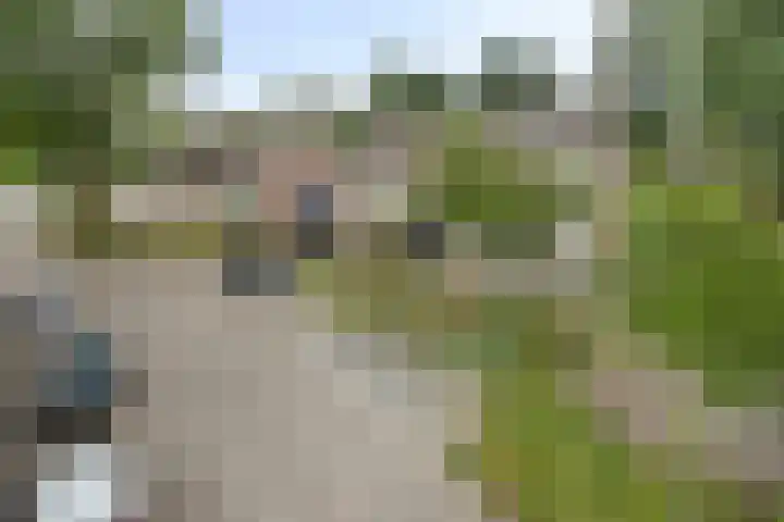 Hollandhof 55 Helmond thumbnail 38