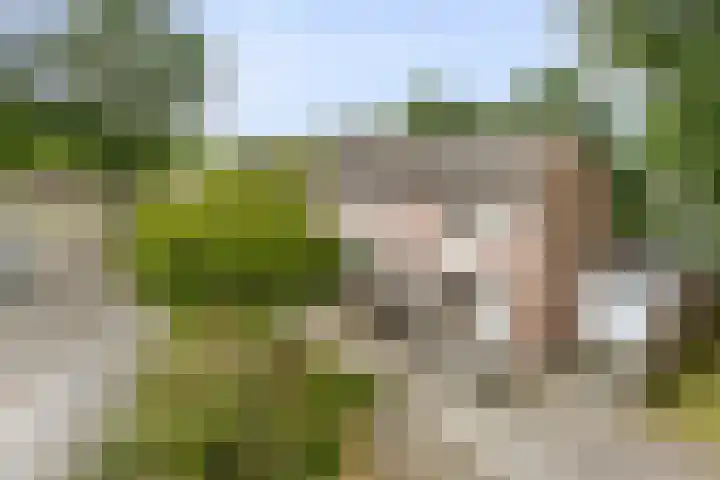 Hollandhof 55 Helmond thumbnail 39