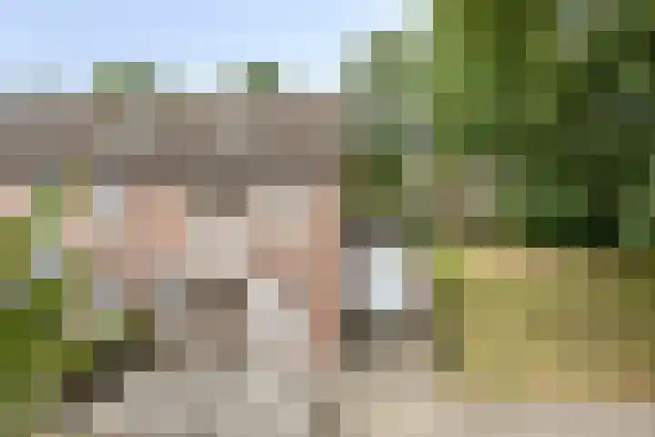 Hollandhof 55 Helmond thumbnail 40