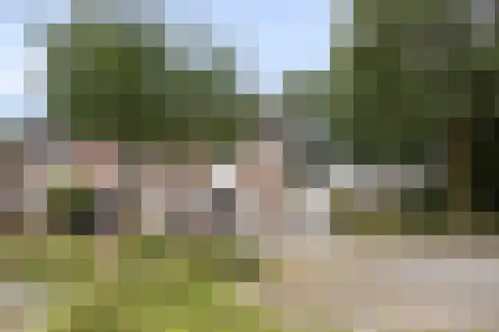 Hollandhof 55 Helmond thumbnail 42