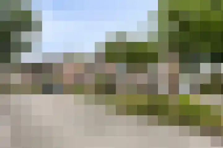 Hollandhof 55 Helmond thumbnail 43