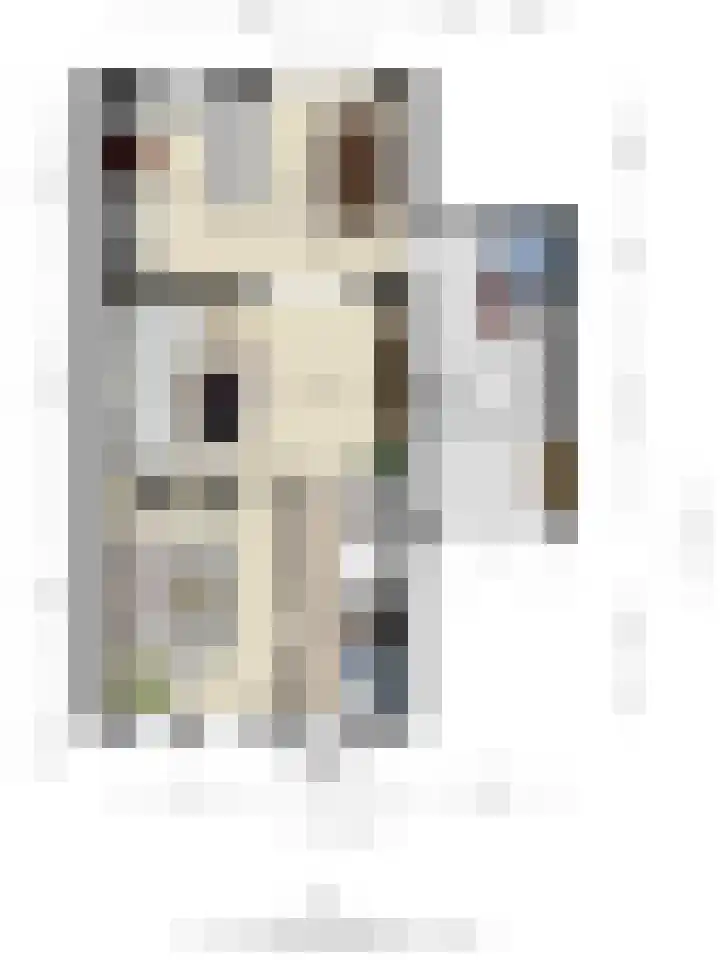 Hollandhof 55 Helmond thumbnail 45