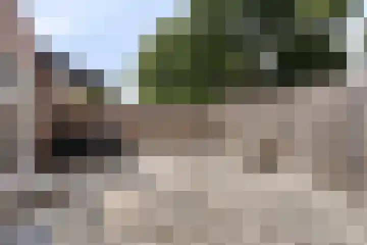 Hollandhof 55 Helmond thumbnail 6
