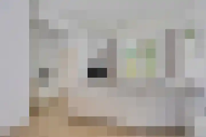 Hollandhof 66 Helmond thumbnail 7