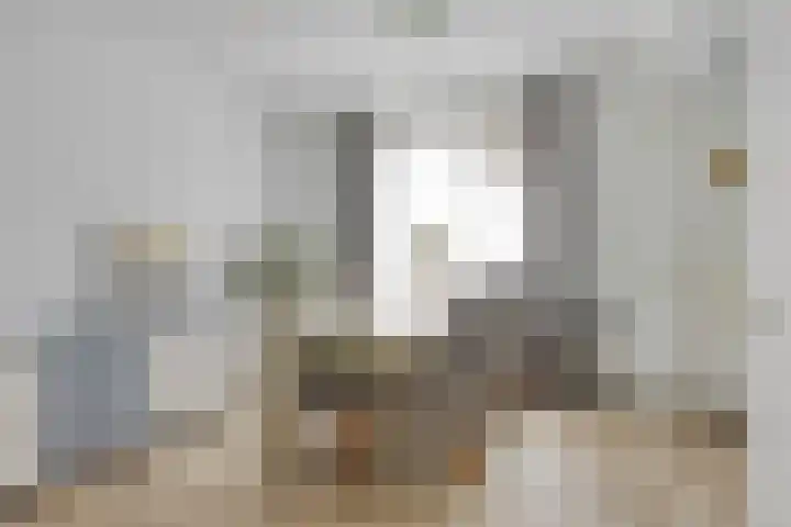 Hollandhof 66 Helmond thumbnail 8