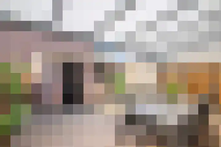 Hollandhof 94 Helmond thumbnail 33