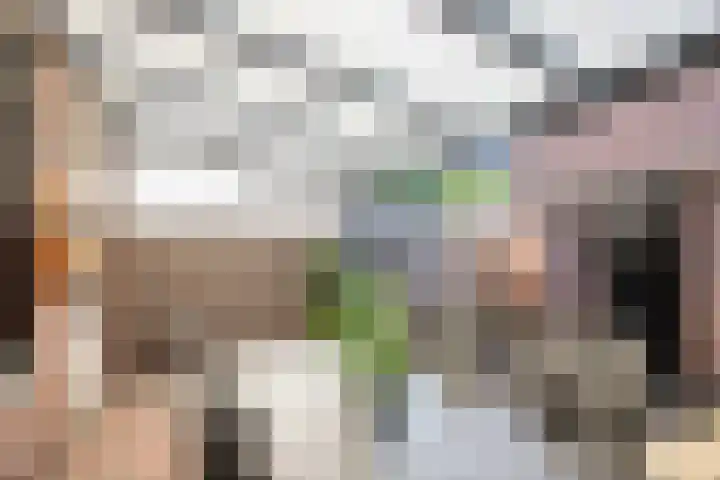 Hollandhof 94 Helmond thumbnail 35