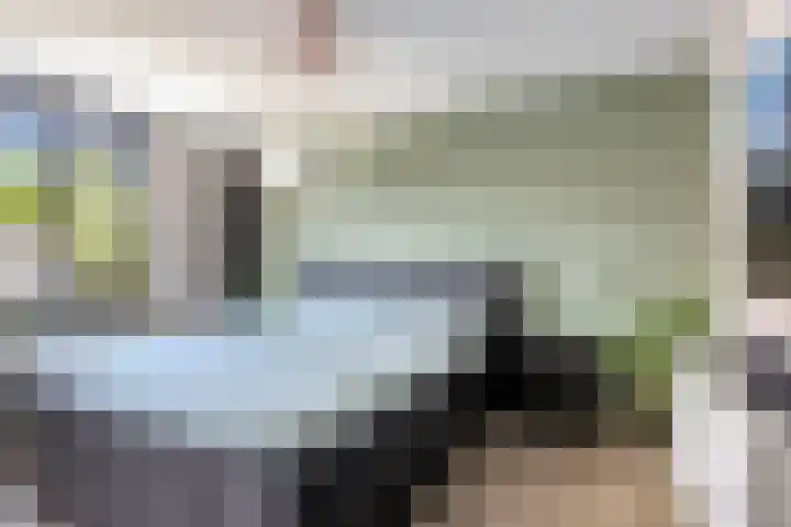 Hollandhof 94 Helmond thumbnail 4
