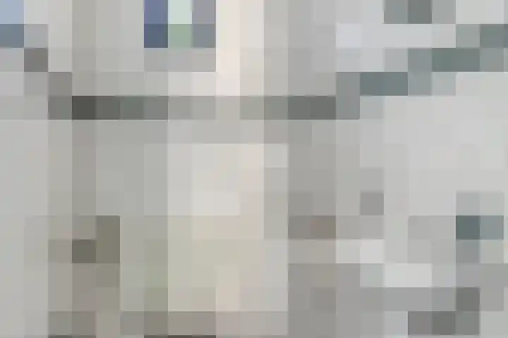 Hollandhof 94 Helmond thumbnail 8