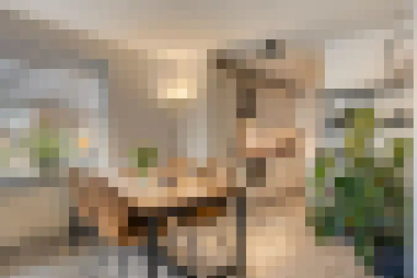 Hollandia 12 Veenendaal thumbnail 13