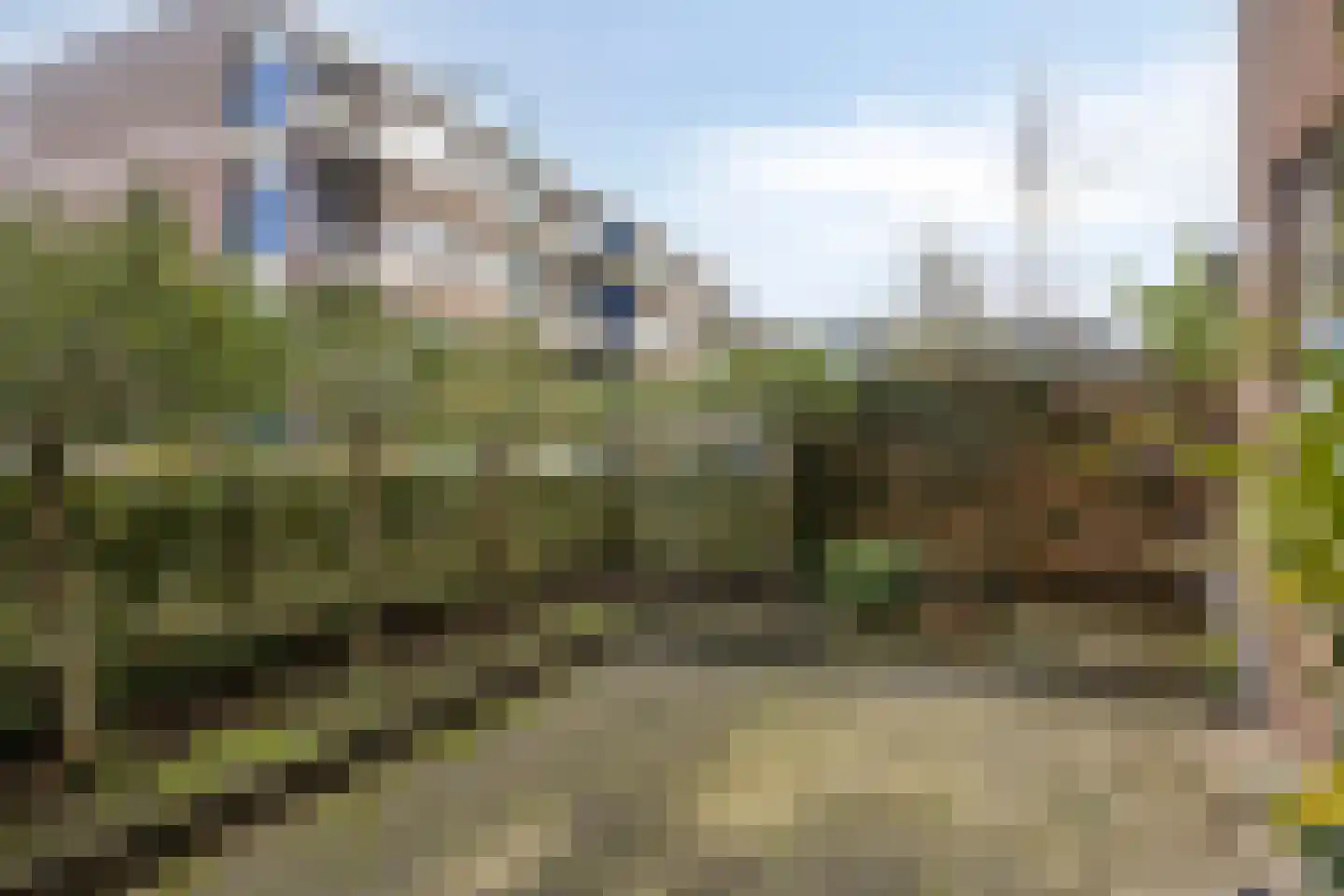 Hollandia 12 Veenendaal thumbnail 24