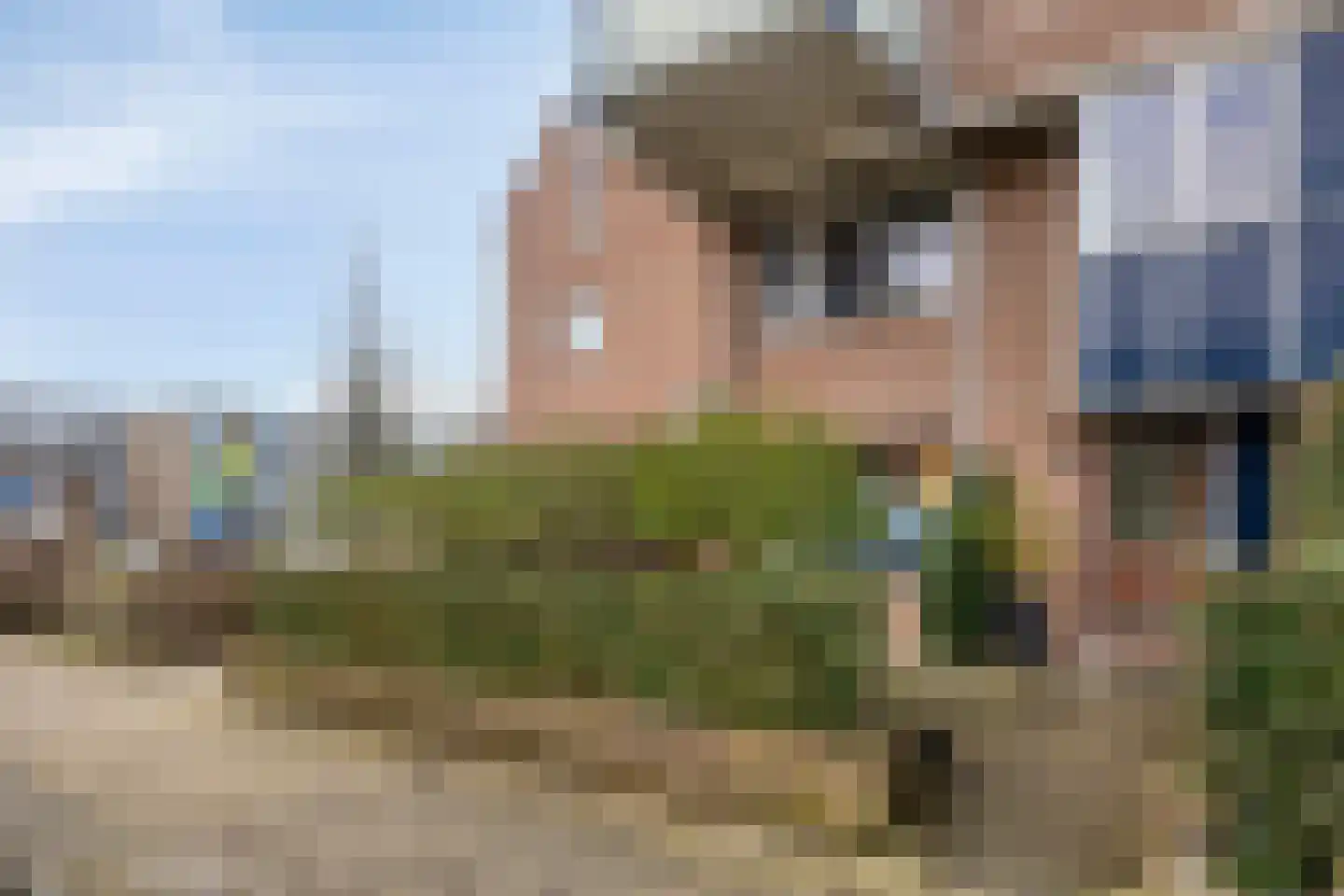 Hollandia 12 Veenendaal thumbnail 4