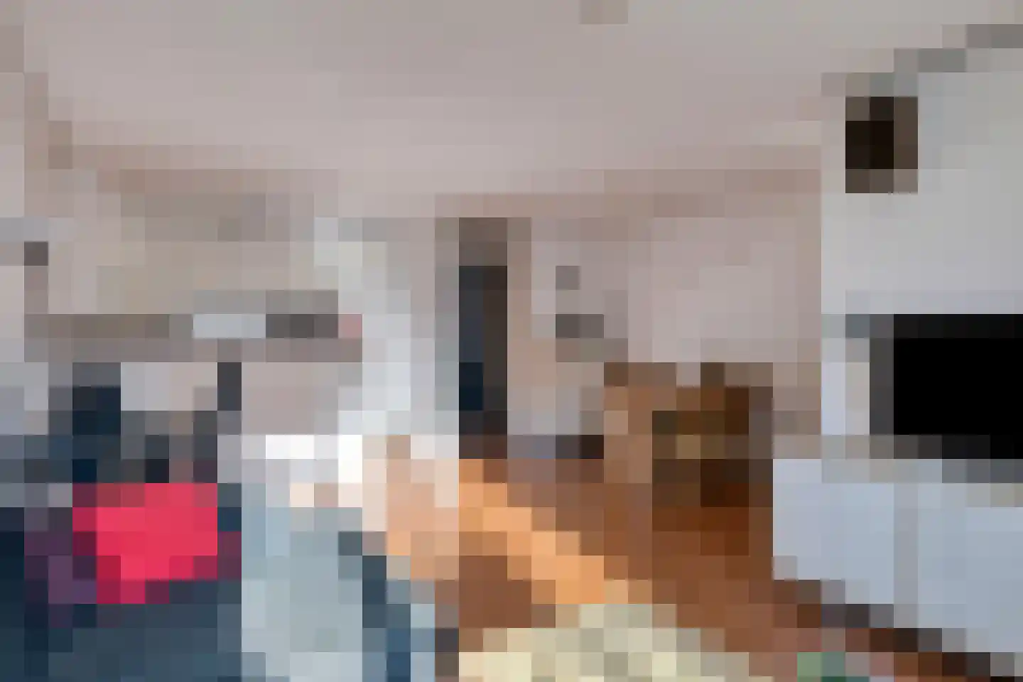 Hollandia 4 Veenendaal thumbnail 7