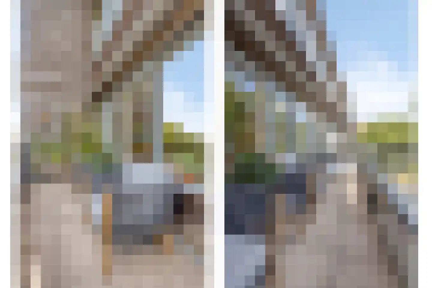 Hollandiahof 126 Schiedam thumbnail 12