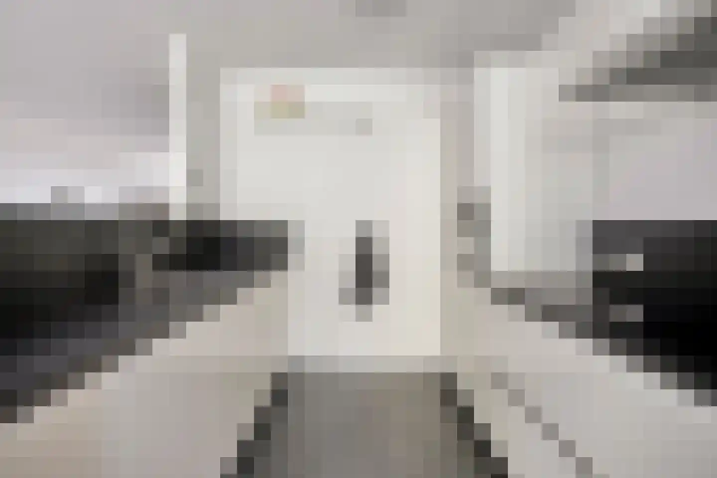Hollandiahof 126 Schiedam thumbnail 8