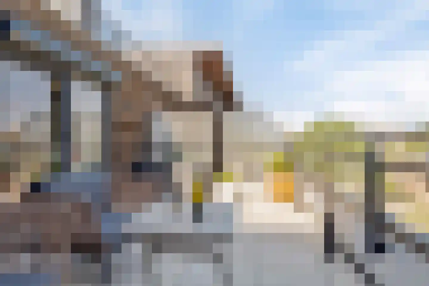 Hollandiahof 198 Schiedam thumbnail 26