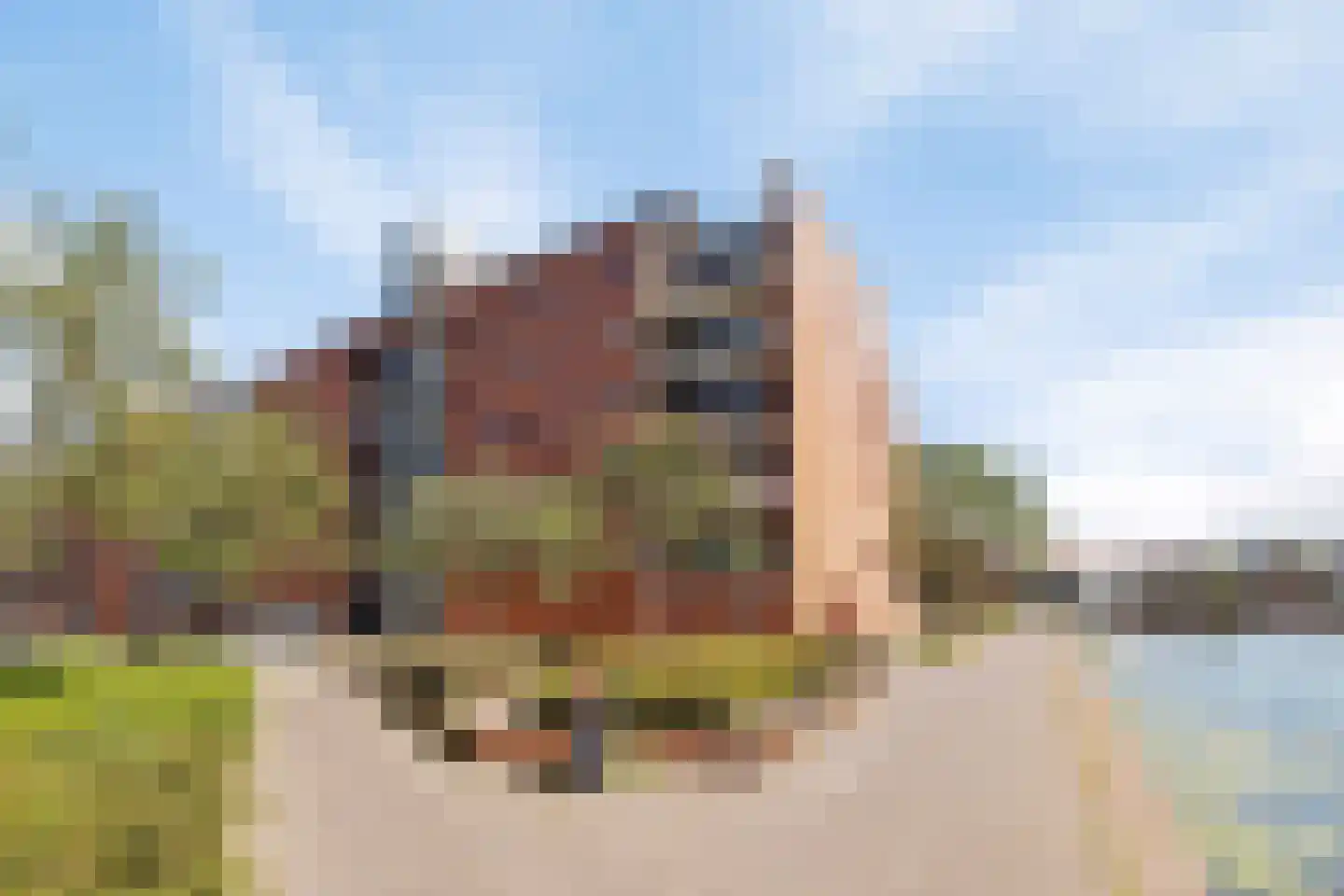 Hollandiahof 198 Schiedam thumbnail 6