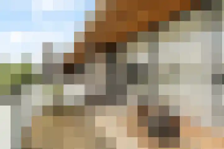 Hollandiahof 29 Schiedam thumbnail 20