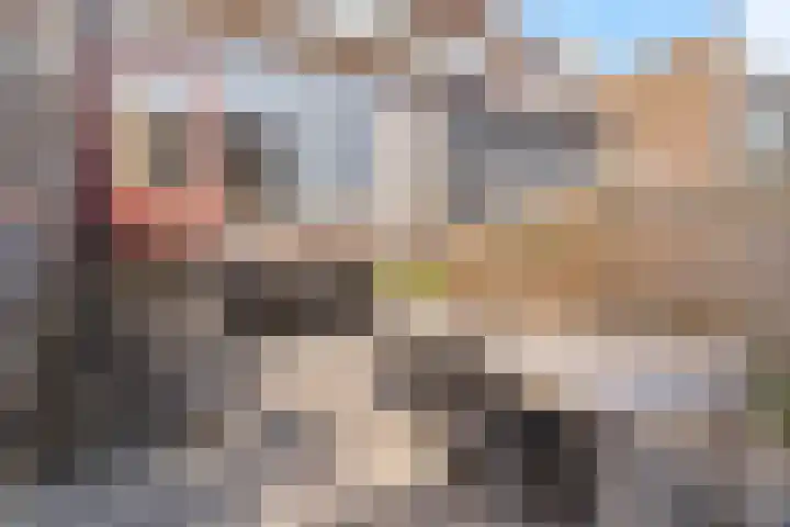 Hollandiahof 29 Schiedam thumbnail 28