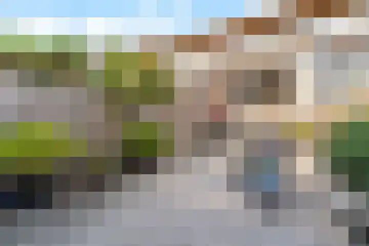 Hollandiahof 29 Schiedam thumbnail 4