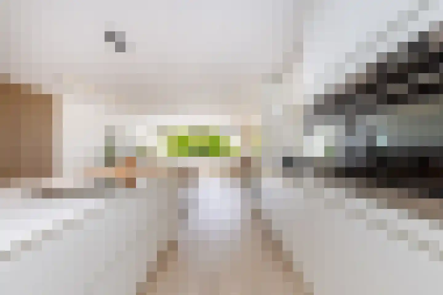Hollandiahof 32 Schiedam thumbnail 12