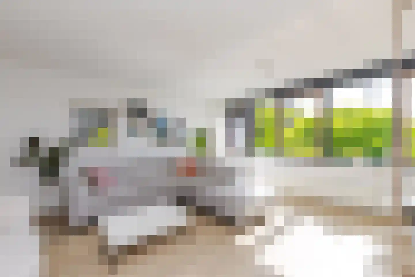 Hollandiahof 32 Schiedam thumbnail 23