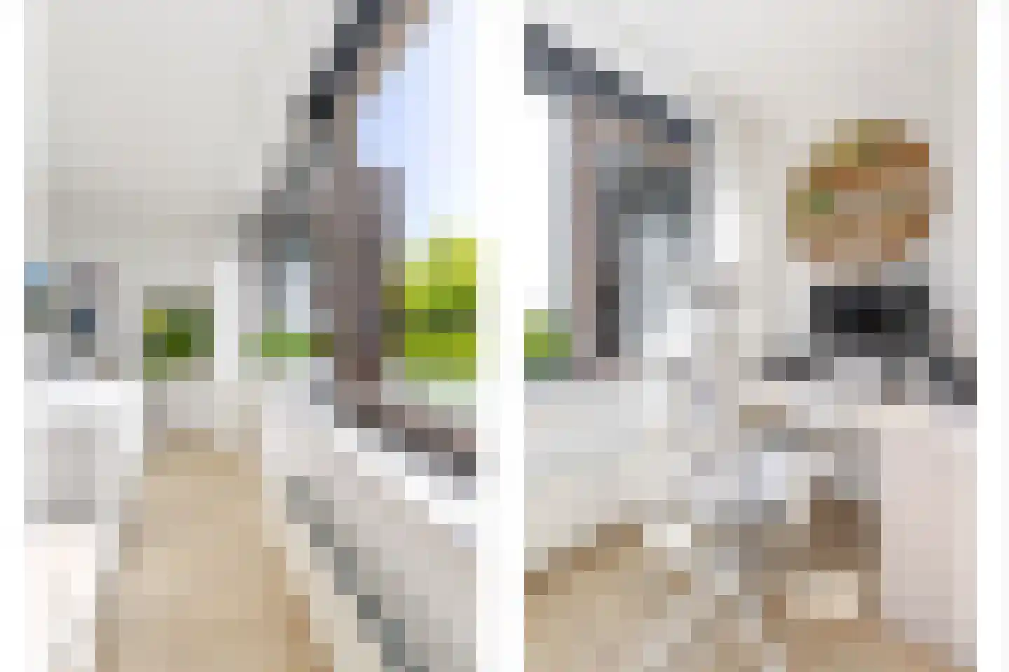 Hollandiahof 32 Schiedam thumbnail 27