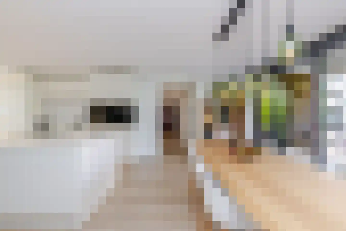 Hollandiahof 32 Schiedam thumbnail 31