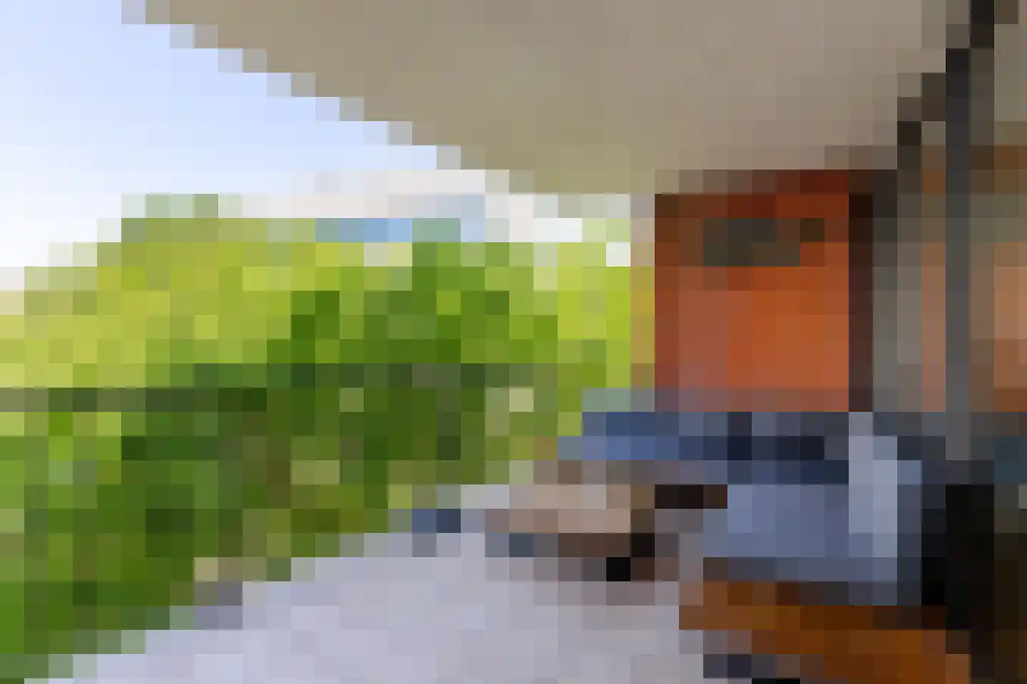 Hollandiahof 32 Schiedam thumbnail 33