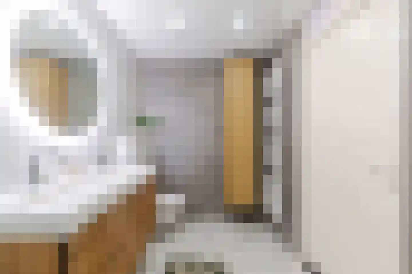 Hollandiahof 32 Schiedam thumbnail 46