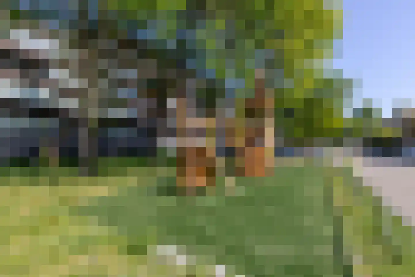 Hollandiahof 32 Schiedam thumbnail 58