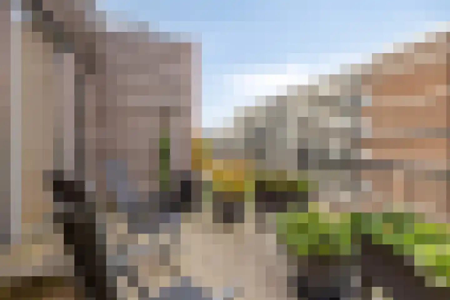 Hollandiahof 42 Schiedam thumbnail 18