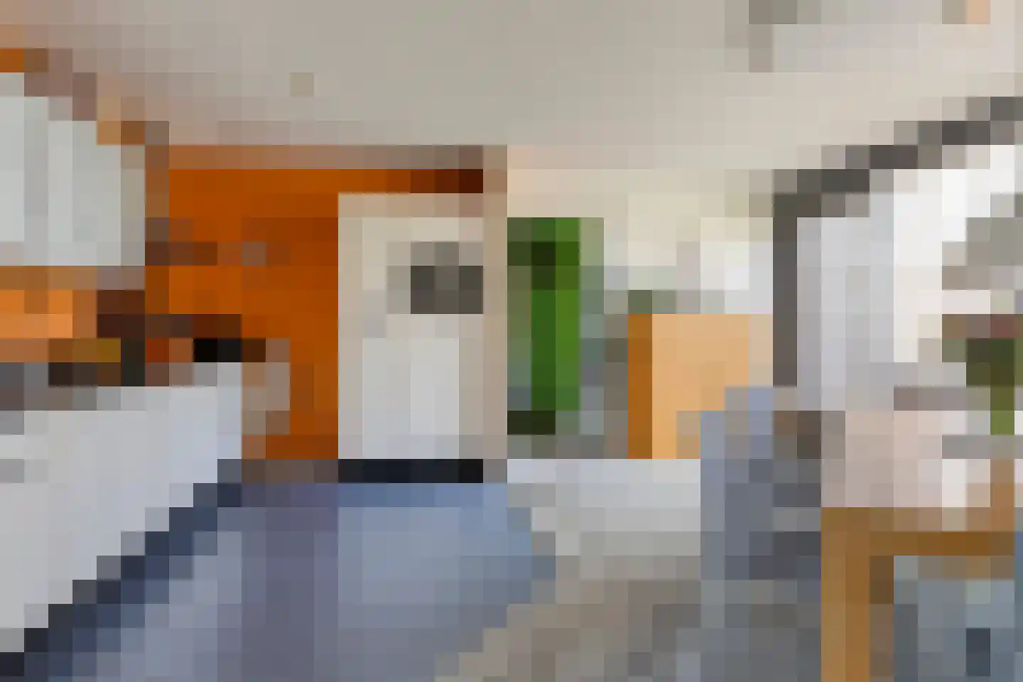 Hollandiahof 42 Schiedam thumbnail 8