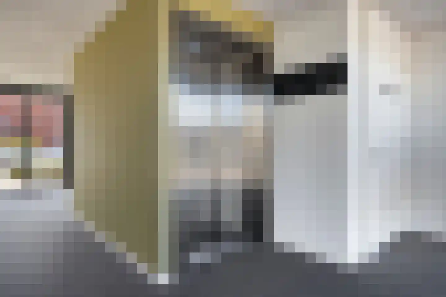 Hollandiaplein 11 39 Goes thumbnail 11