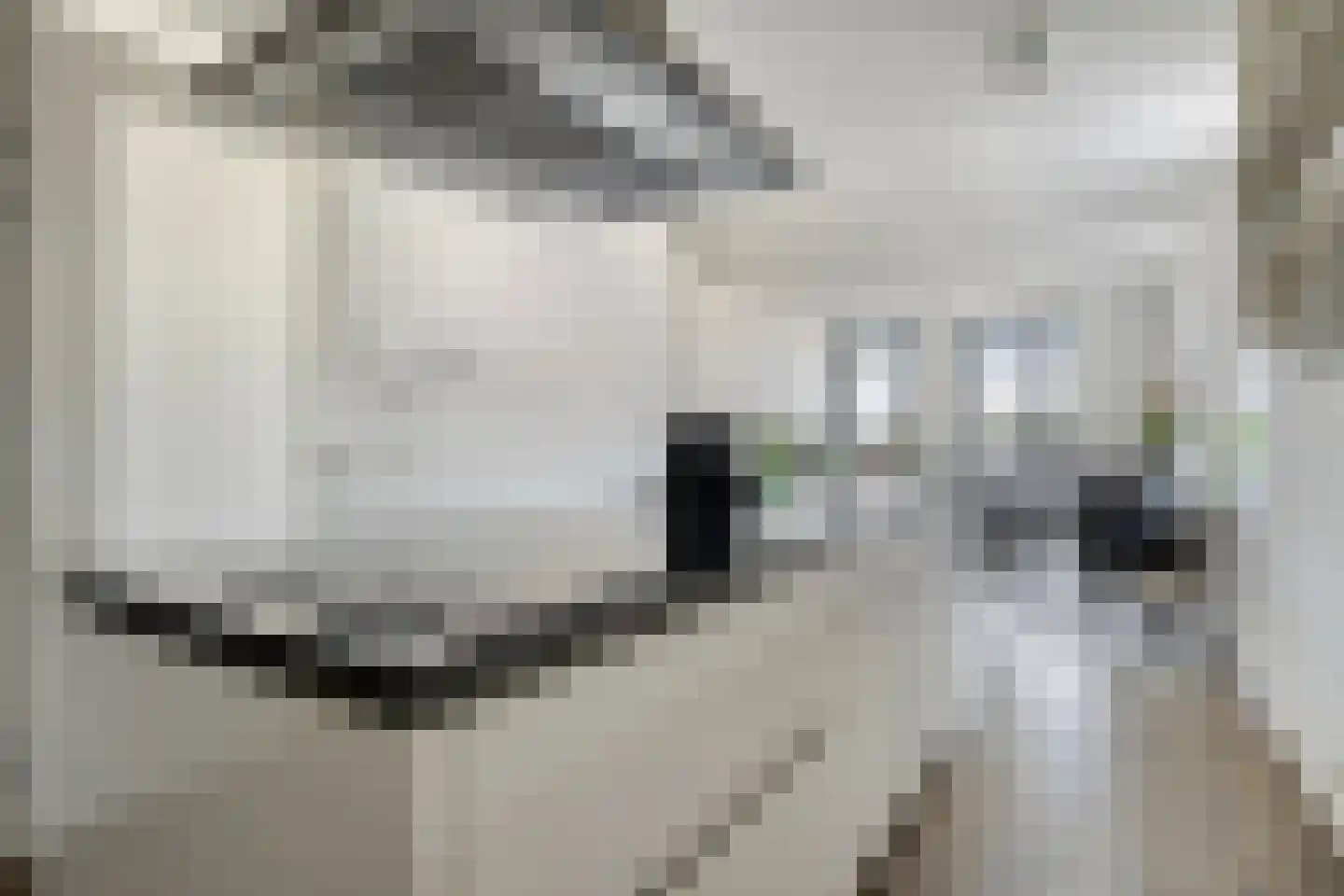 Hollandiaplein 11 39 Goes thumbnail 18