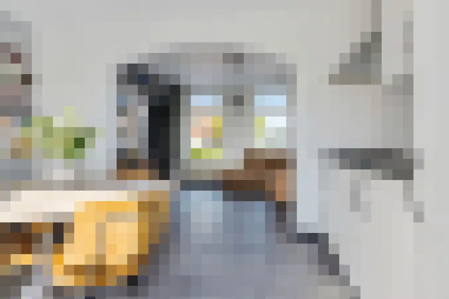 Hollandiastraat 100 Scharsterbrug thumbnail 19