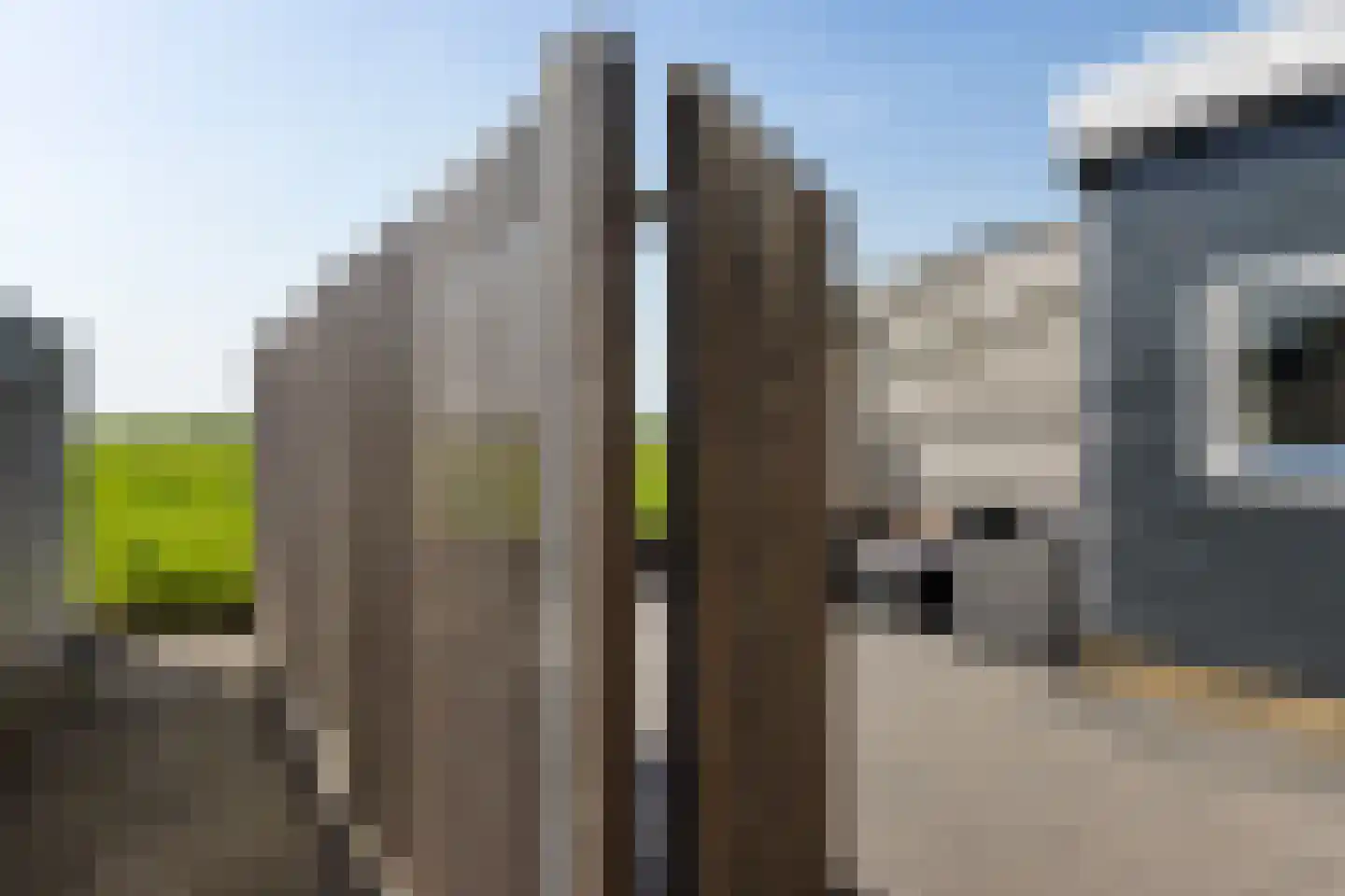 Hollandiastraat 100 Scharsterbrug thumbnail 37