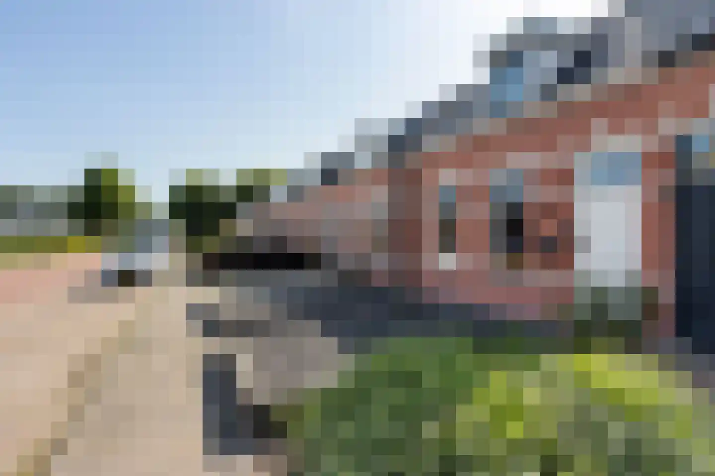 Hollandiastraat 100 Scharsterbrug thumbnail 6