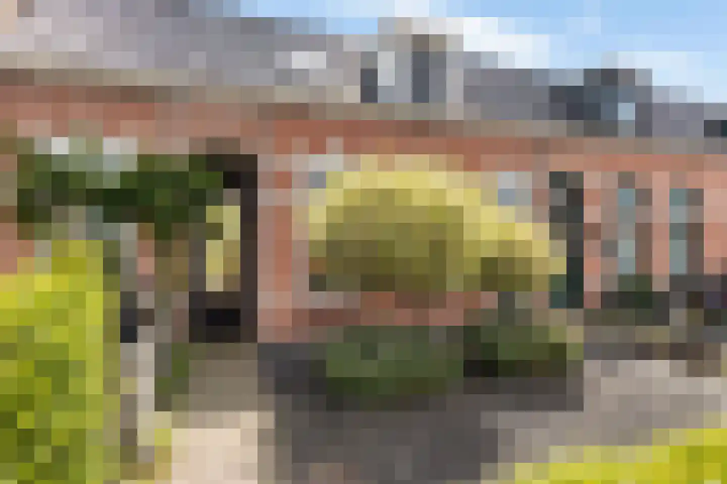 Hollandiastraat 108 Scharsterbrug thumbnail 4