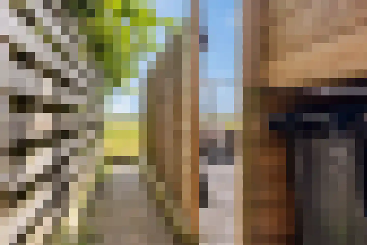 Hollandiastraat 108 Scharsterbrug thumbnail 43