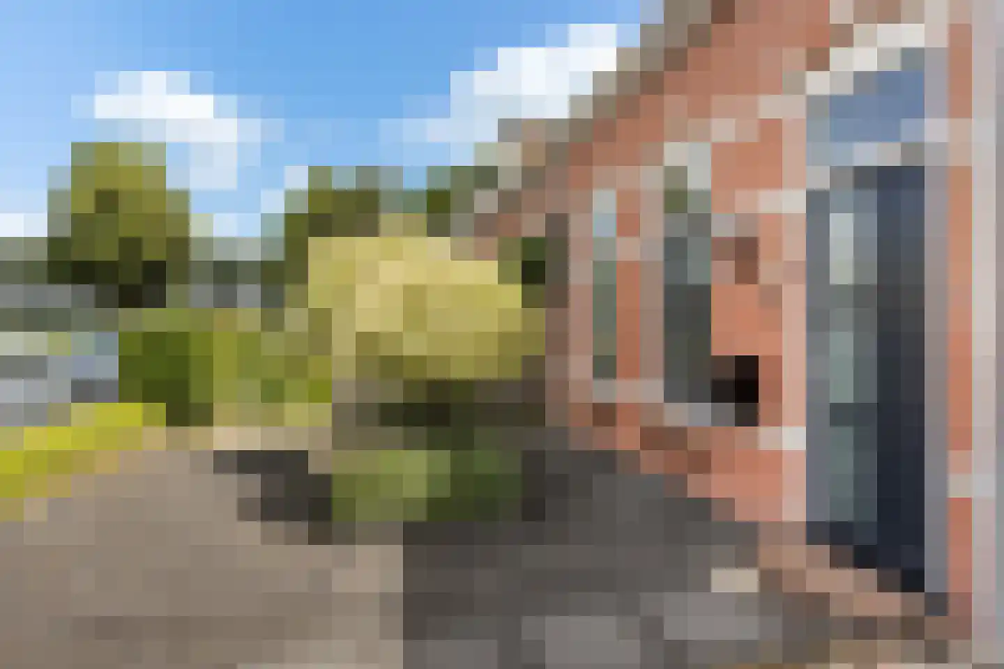Hollandiastraat 108 Scharsterbrug thumbnail 5