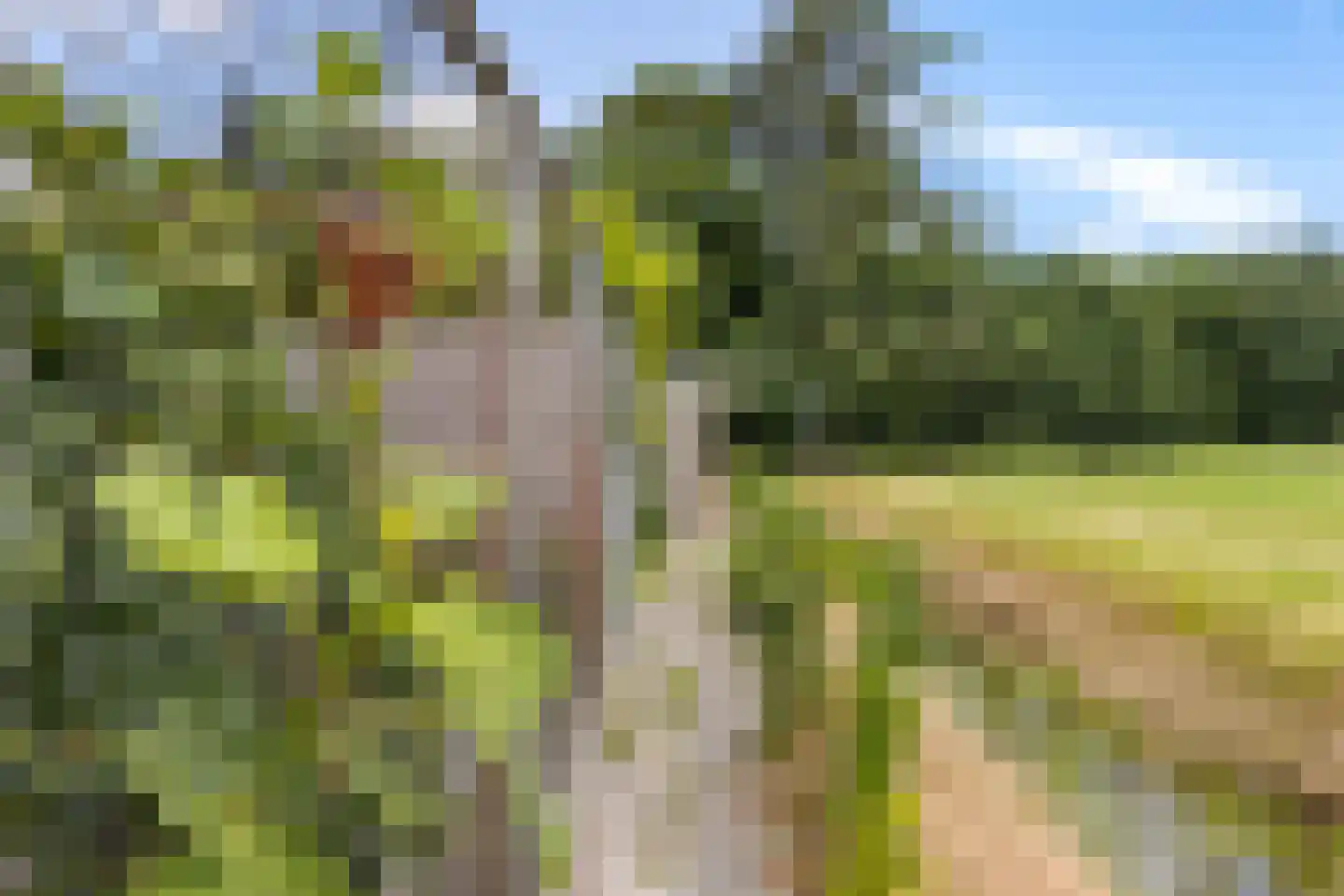 Hollandiastraat 108 Scharsterbrug thumbnail 7