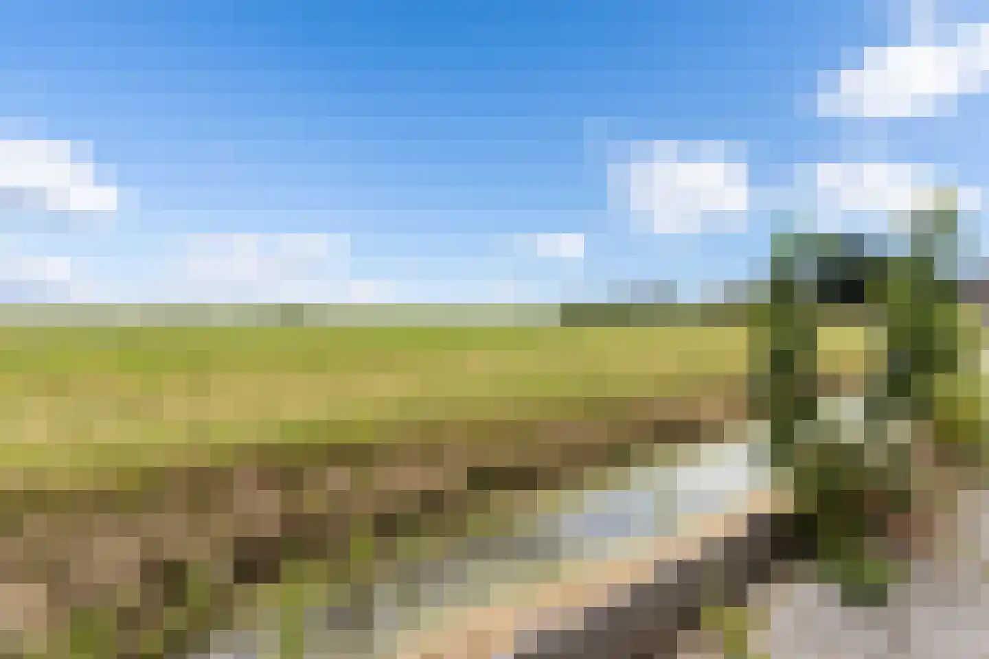 Hollandiastraat 108 Scharsterbrug thumbnail 8
