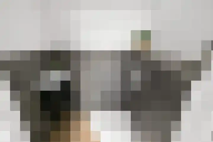 Hollandiastraat 11 Wormer thumbnail 13