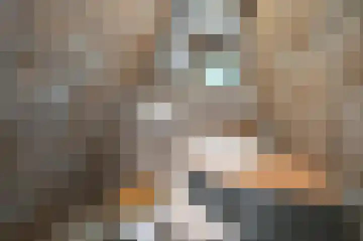 Hollandiastraat 11 Wormer thumbnail 27
