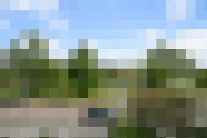 Hollandiastraat 11 Wormer thumbnail 28